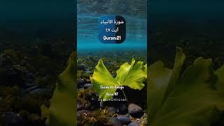 Surah Al-Anbya | verse 47 | Quran Translation | Quran:21