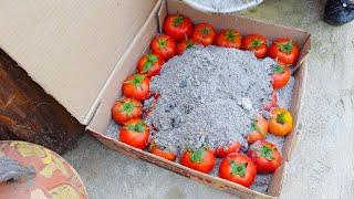 How To Preserve Fresh Tomatoes For Years, Make Cakes From Potatoes | Happy Garden