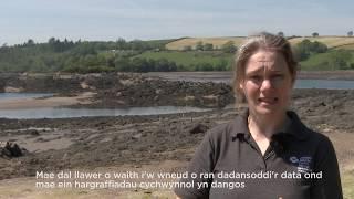 Cyfoeth Naturiol Cymru / Natural Resources Wales