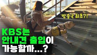 방송국 최초 강아지 직원 허우령 앵커의 안내견 하얀이 시점 첫 출근 브이로그