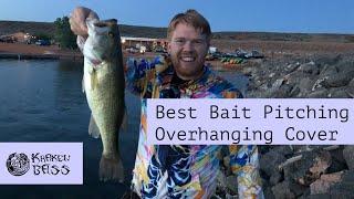 Pitching Bass Fishing - Best Bait for Brush & Overhanging Cover.