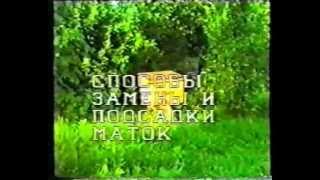 разведение и содержание пчел.mp4