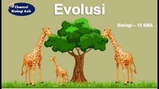 Evolusi - Biologi kelas 12 SMA