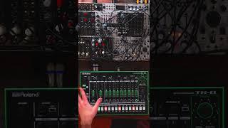 Why not update to the TR-8S? #tr8 #tr8s #drummachine #drummachines #shorts