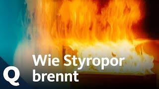 Hausbau: Warum Styropor riskant ist | Quarks