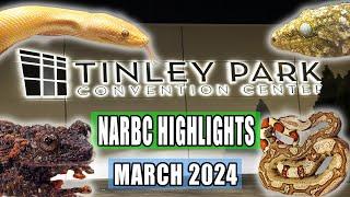 Tinley Park Reptile Expo HIGHLIGHTS March 2024