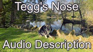 Tegg's Nose a Gritstone Family and Dog Friendly Walk (Audio Description and Narration Version).