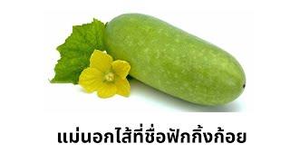 แม่นอกไส้ที่ชื่อฟักกิ้งก้อย