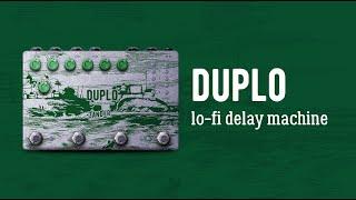 Zander Circuitry Duplo Lo-Fi Delay Machine Demo