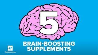 5 Brain-Boosting Nootropic Supplements | Doug Kalman Ph.D.