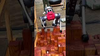 #ANYmal mastering the uneven wooden obstacle at SPRINT Robotics World Conference 2023