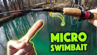 Will Brown Trout Eat This MICRO SWIMBAIT?