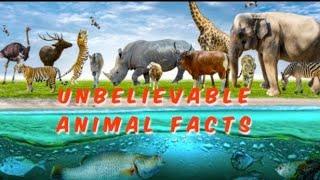 Unbelievable animal facts/Acknowledge Facts hub