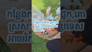 Episode A0179 : កន្លែងទិញ មាន់ ជ្រូក គោ ស្រស់ៗរស់ៗ នៅក្នុងប្រទេសអាមេរិក  Bongry USA Life