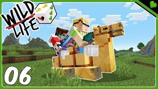 CAMEL SKATEBOARDS & WHOOPSIES! | Wild Life SMP | Ep 06