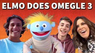 Elmo Does Omegle 3 - Puppet Comedy