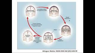 Ajay Kher - Hypernatremia and Polyuria