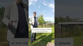 Ландшафт в минималистичном стиле | СТАРКО