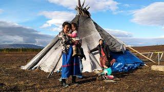 These Russian Nomads survive in FAR NORTH in autumn. Yamal. Nomads Nenets