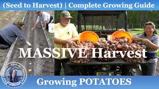 How to Grow Potatoes, Seed to MASSIVE Harvest