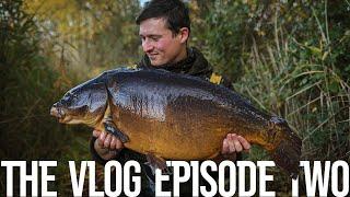 Carnage at the club lake! | Total Carp Vlog EP2