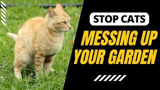 How To Stop Cats Pooping In The Garden? Safe Methods