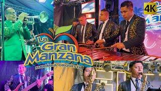 Marimba Orquesta La Gran Manzana  - Incontenibles Siempre 4K