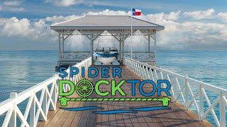 SPIDER DOCKTOR 2019