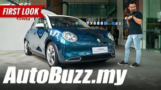 ORA Good Cat electric car with 500km range, First Look - AutoBuzz