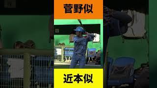 草野球で菅野智之vs近本光司のそっくりさん