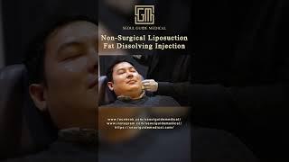 Non-Surgical Liposuction Fat Dissolving Injection | Seoul Guide Medical