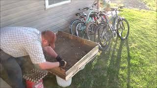 Transplanting Indoor Seedlings to Outdoor Garden Box Made of Pallets