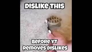 This video has 1.1k dislikes