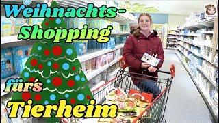 WUNSCHBAUM FÜR TIERE  Weihnachts-Shopping fürs Tierheim  dm und Fressnapf Haul