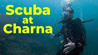 Scuba diving in Karachi | Charna Island | Waqar Siddiqui