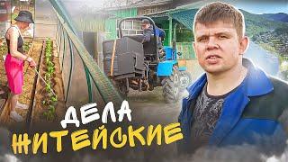 Дела житейские, когда цветет черемуха