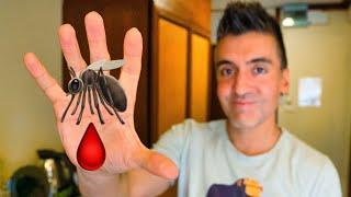 Kill Indoor Mosquitos With This Hand Trick!