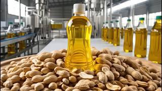 How Peanut Oil Is Made? | Amazing Peanut Oil Factory