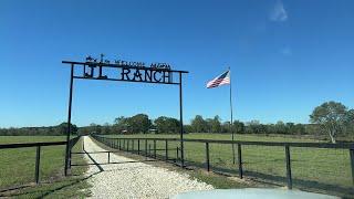 Longhorn Lester's is separating cattle @JL Ranch