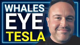 Tesla 10/10 Event: Will Affordable EVs Steal the Show??