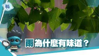 雨為什麼有味道？【發現科學】