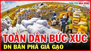 Bản Tin Nhà Nông | Tin Tức Thời Sự Cập Nhật Mới Nhất Hôm Nay 7/6/2024