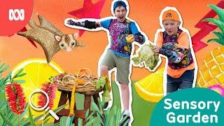 Build a sensory garden with us 🪴 | Gardening Australia Junior | ABC Kids