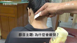 【中醫保健小常識】為什麼會疲勞？ 第95集