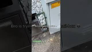 German Guy yells at Mailbox meme #memes #german #scream #funny #shortvideo #shorts #mailbox