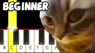 Chipi Chipi Chapa Chapa Dubi Dubi Daba Daba Meme - Fast and Slow (Easy) Piano Tutorial - Beginner