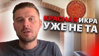 Красная икра уже не та. Вы удивитесь ,сколько сейчас подделки на рынке Красной икры. Иван Кузьминов