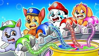 PAW Patrol Brewing Cute Baby Factory But The COLOR Are MISSING! - Rainbow 3 Animation