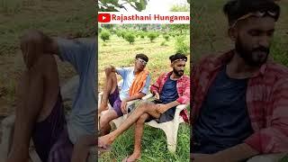 बाजरा कैसा लगा । राजस्थानी कोमेडी वीडियो। #shorts #viral #funny #comedy #shortvideo #trendingshort