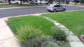 Denver Home For Rent - 3 Bed 1 Bath - by Property Management in Denver